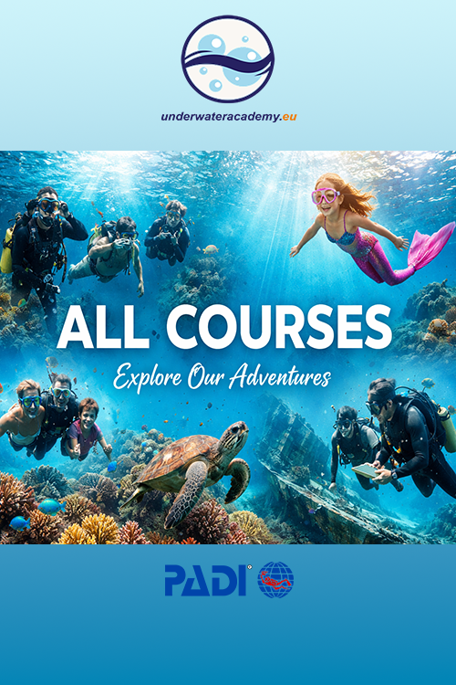 All Courses PADI in Malta and Gozo
