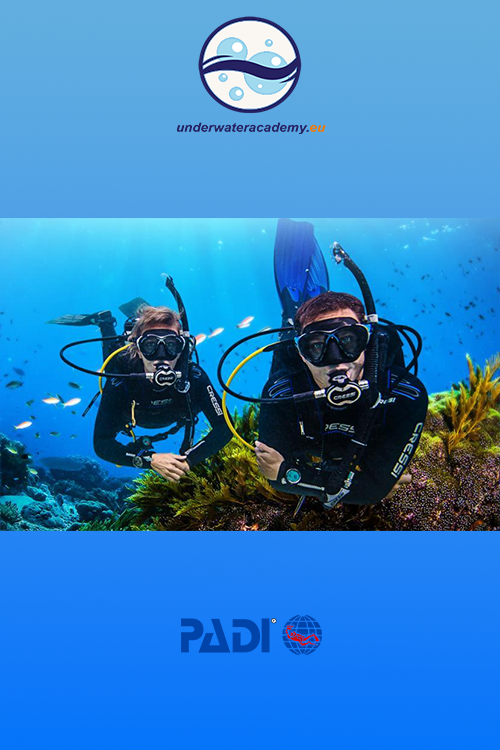 Scuba Diving PADI
