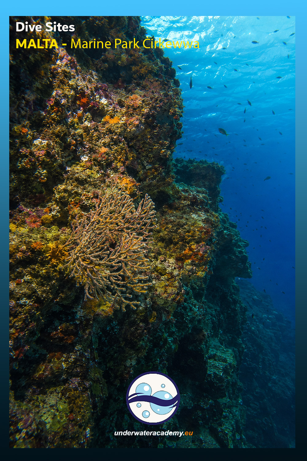 reef Cirkewwa Marine Park